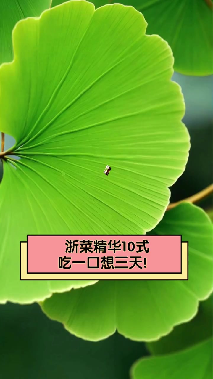 浙菜精华10式,吃一口想三天!