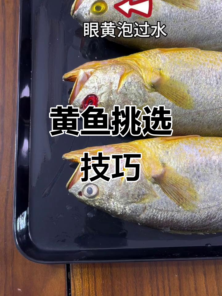 如何挑选新鲜黄鱼?看眼珠和眼白就能辨别