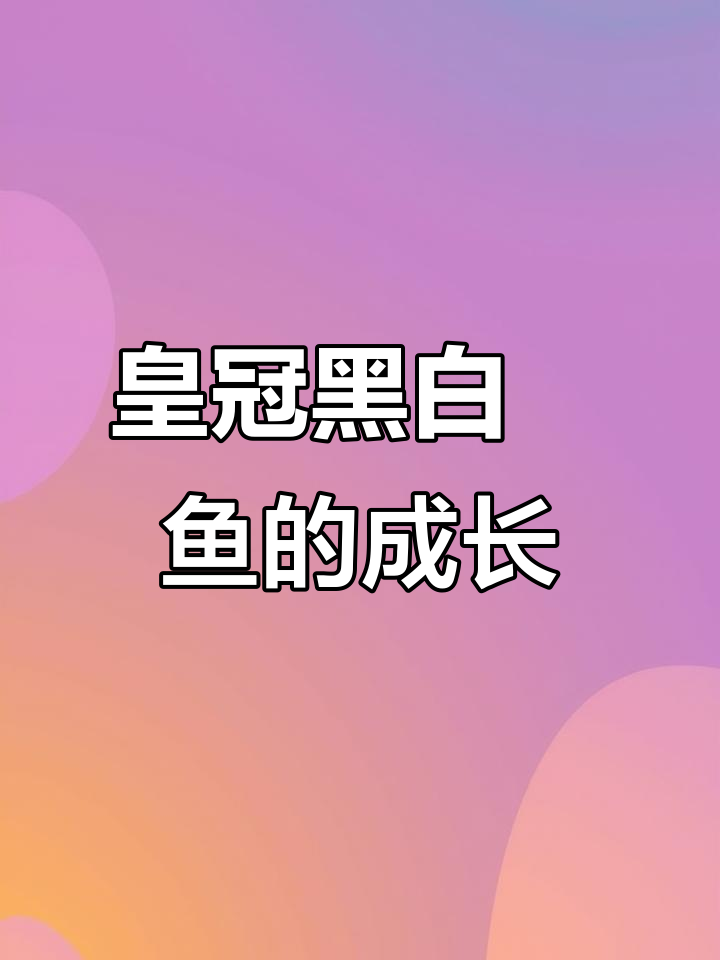 皇冠黑白魟鱼能长多大?揭秘生长速度与极限
