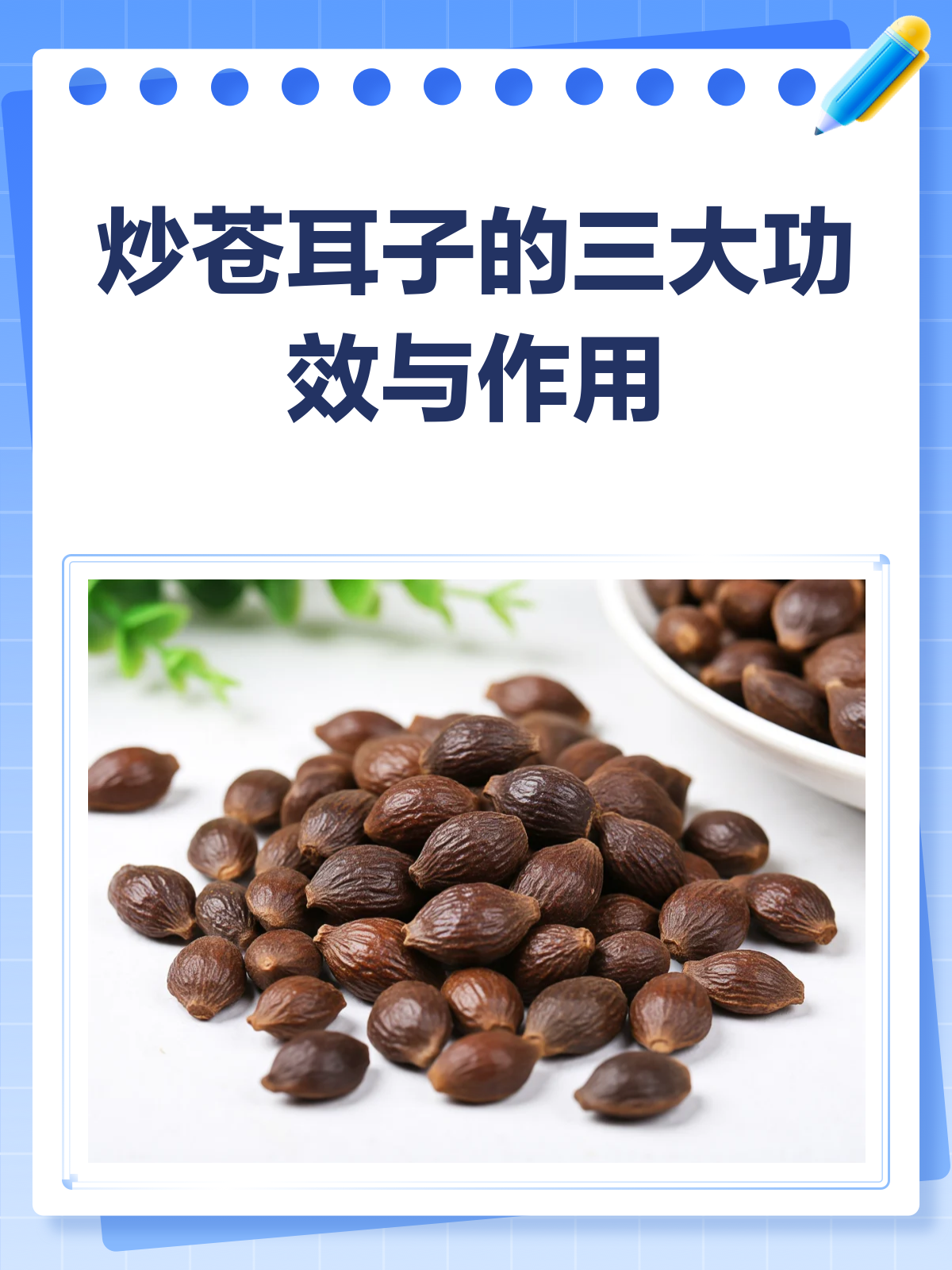 炒苍耳子,散寒通窍的神奇小草药!