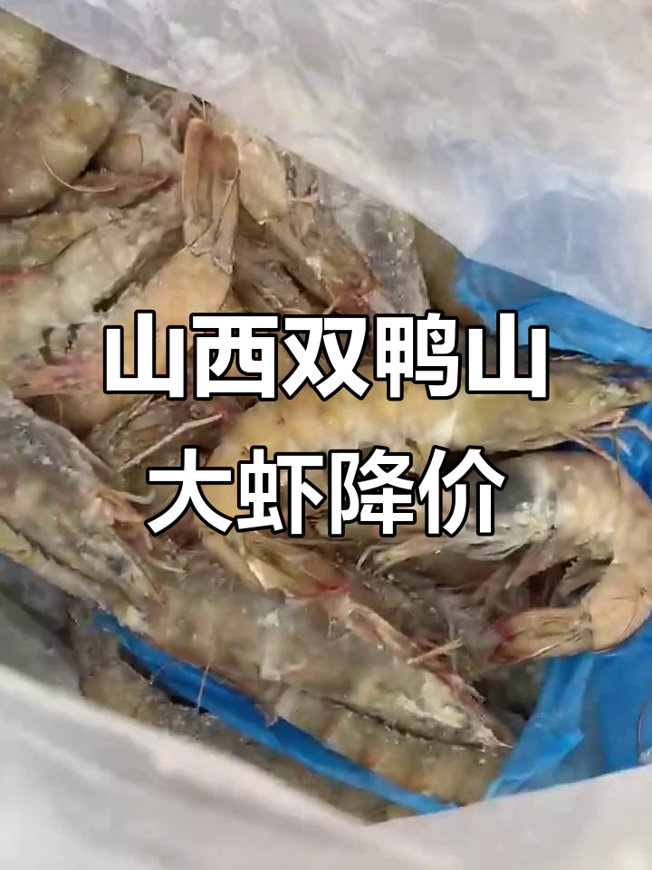 双鸭山特产大降价,海鲜、海参一网打尽