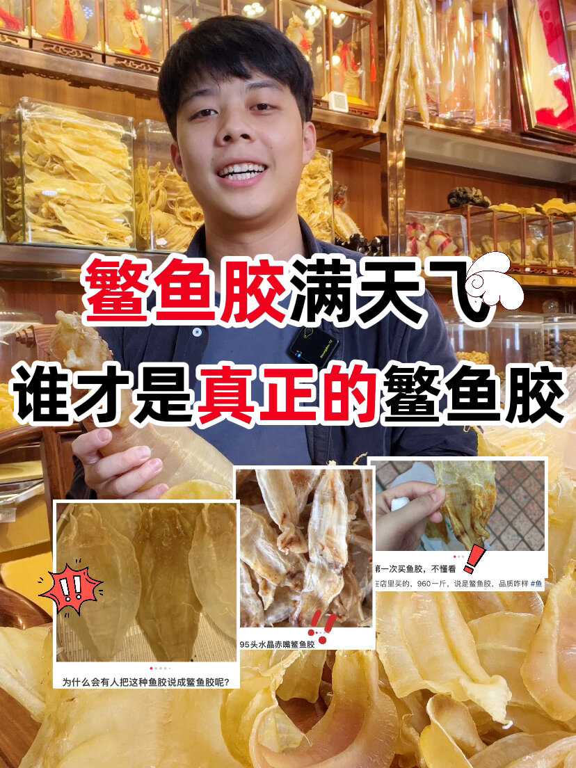 别再上当了这些才是真正的鳘鱼胶