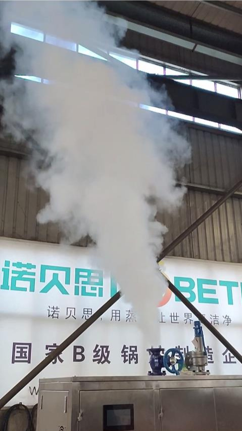 蒸汽发生器生产厂家—诺贝思