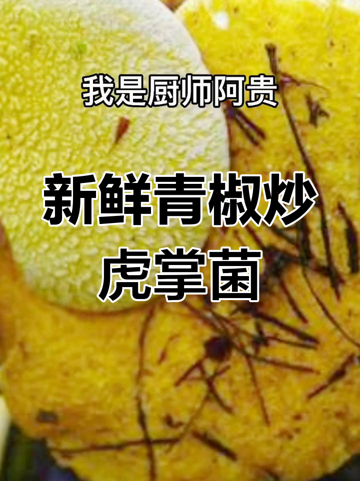 青椒虎掌菌炒法,脆嫩美味