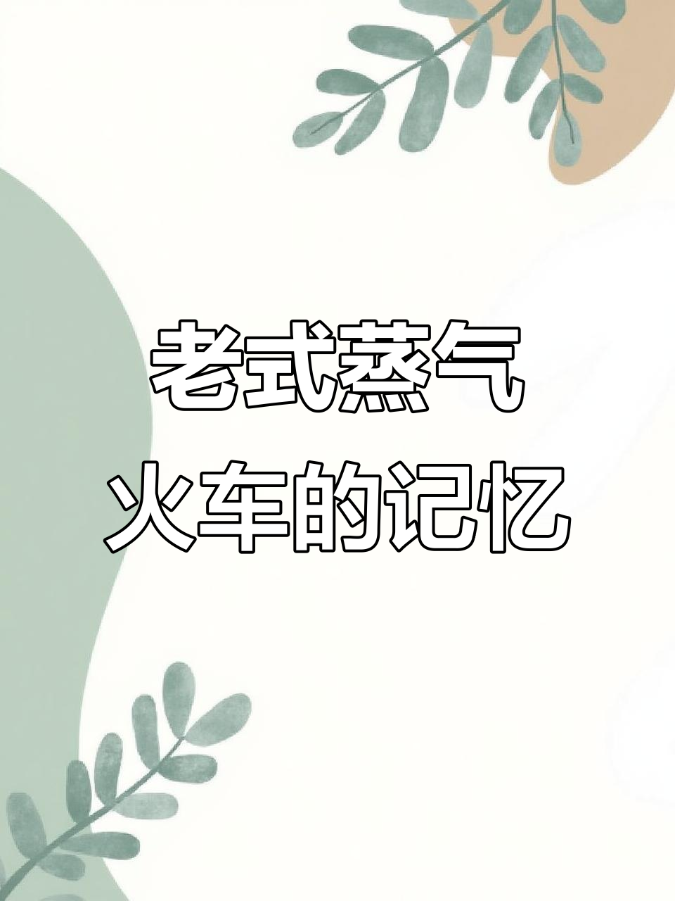 经典蒸汽火车的回忆,重温老时代的机车魅力