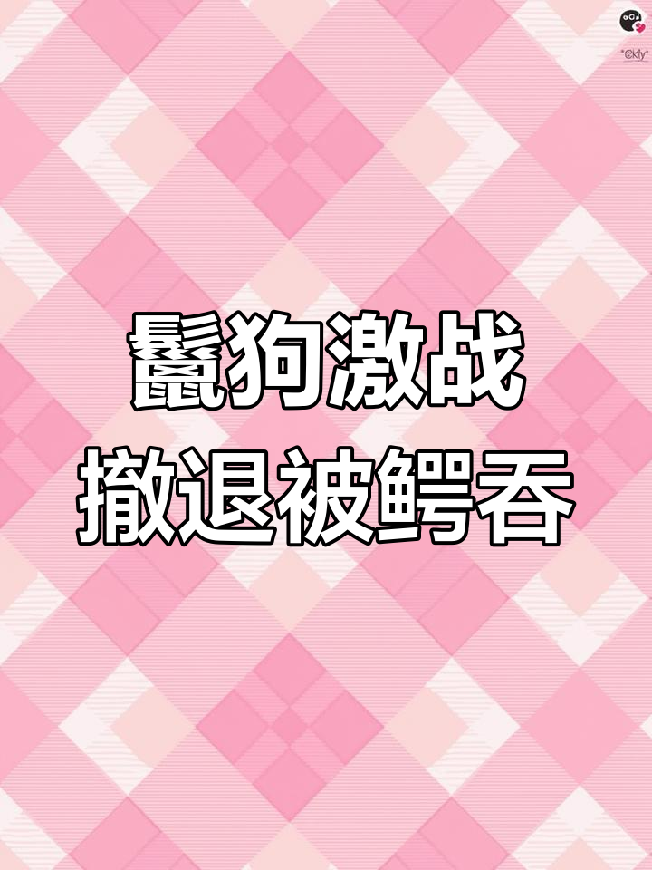 猎狗围堵野狗,鳄鱼突然袭击!