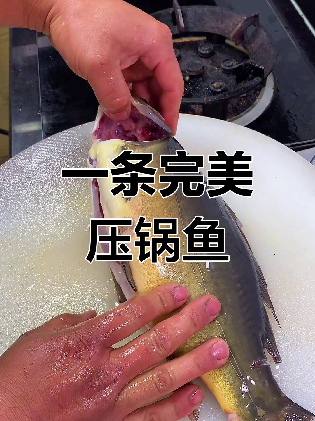 轻松搞定压锅鱼,去腥又入味
