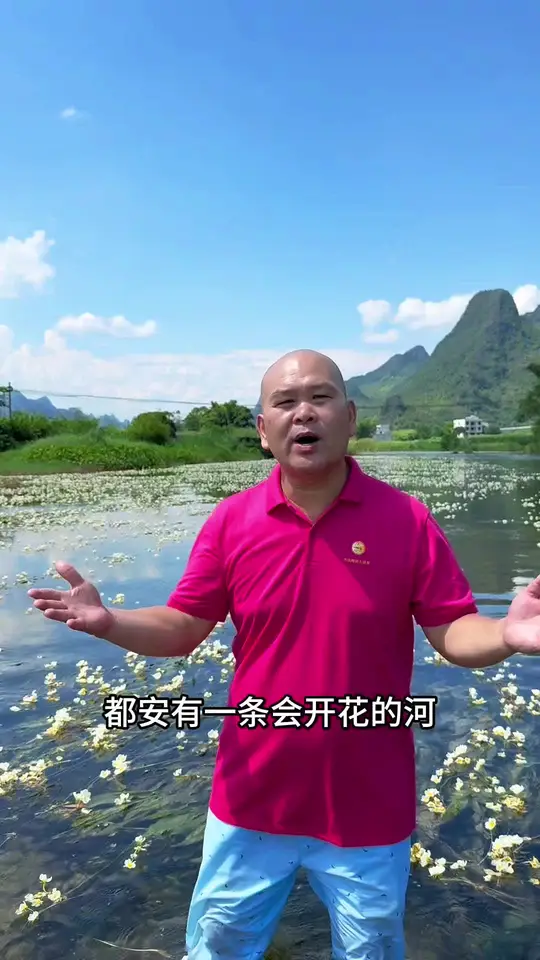 海菜花开季节,快来都安邂逅这条会开花的河