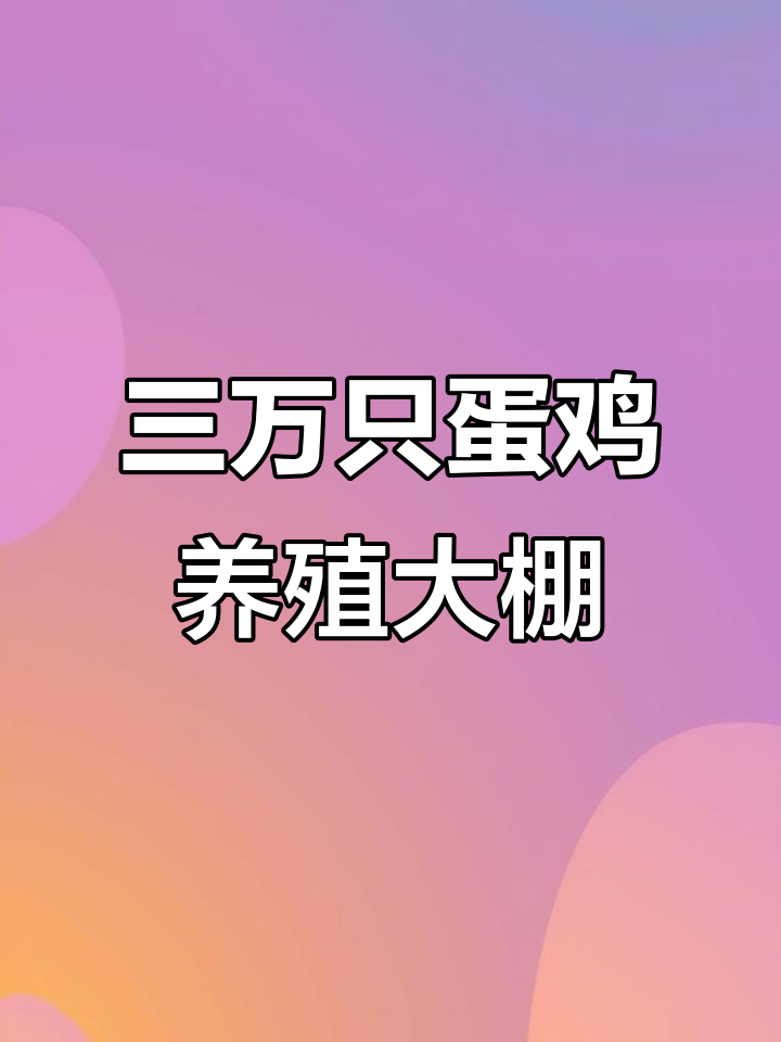 12米宽三万只蛋鸡养殖棚,四层笼养设计冬暖夏凉
