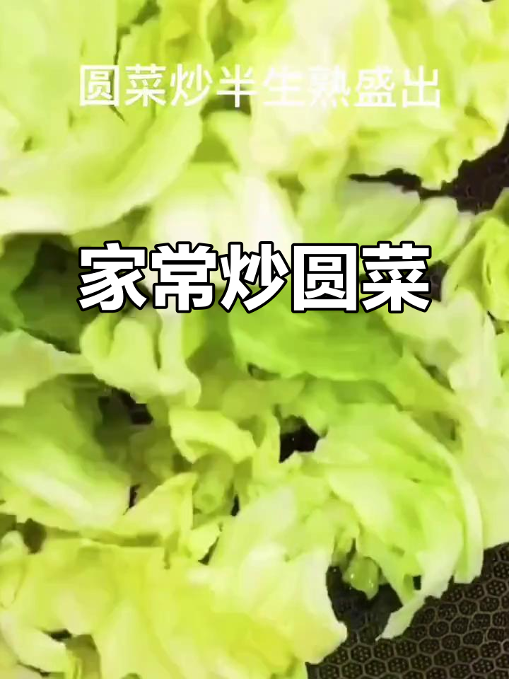 冬季菜价上涨,家常炒圆菜做法大揭秘