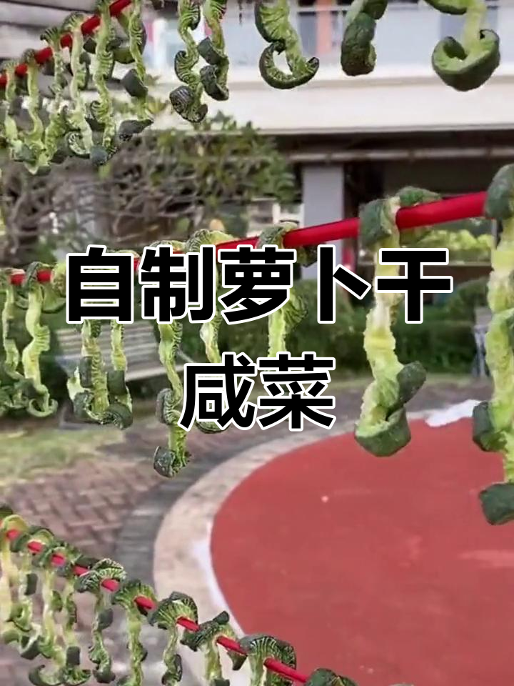 轻松做美味萝卜干咸菜,简单又下饭