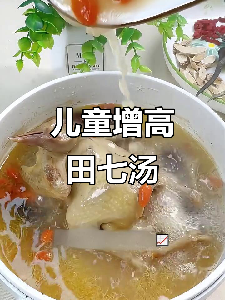 孩子长高必喝！田七汤助力成长，鲜美又营养
