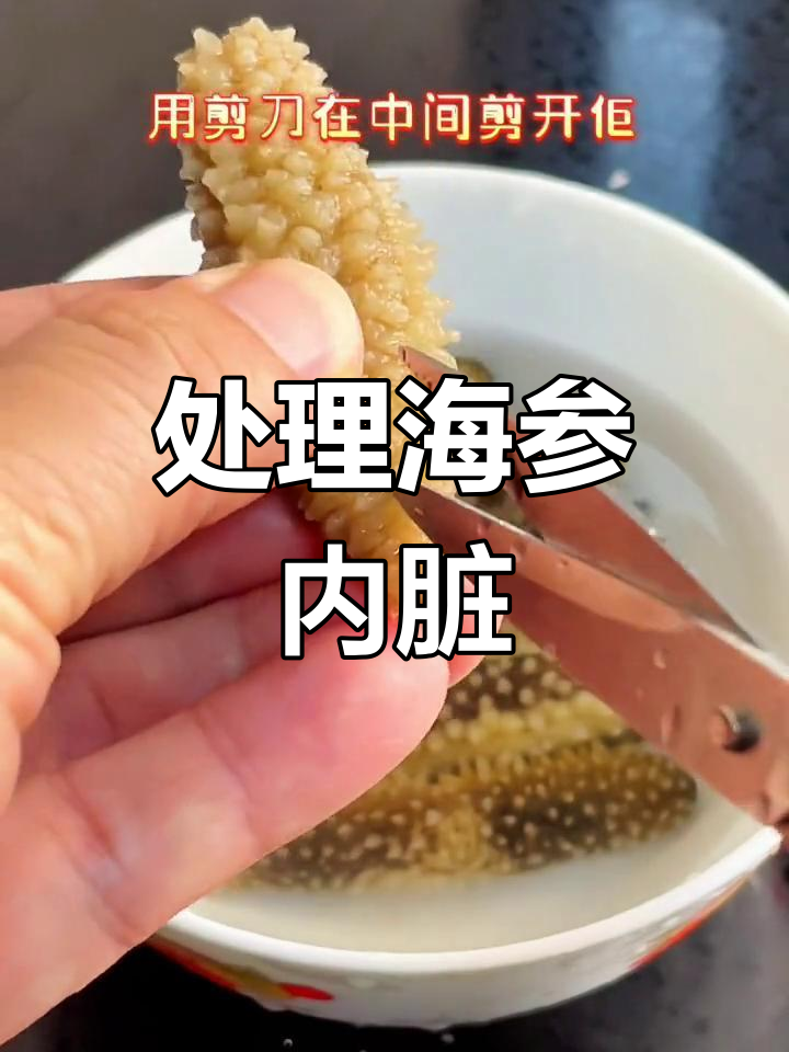 海参内脏清理全攻略