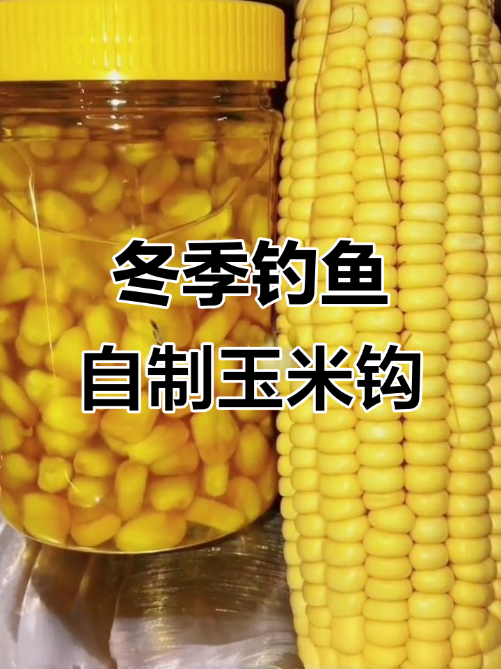 自制玉米挂钩饵料，秋冬钓大草鱼必备技巧