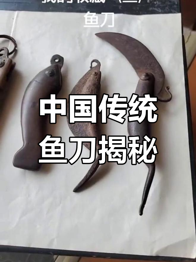 鱼刀的独特设计:古老的中国随身刀具