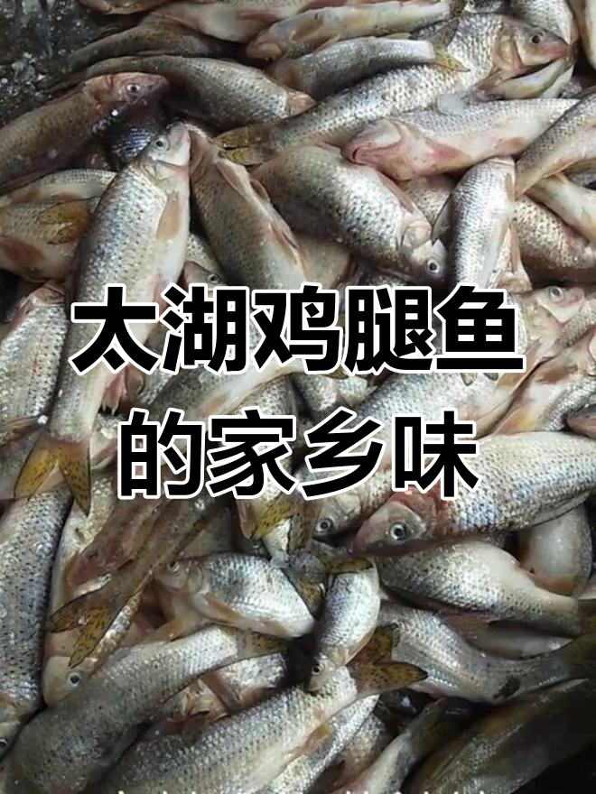 合肥太湖鸡腿鱼,安庆杀鸡子与花姑娘岳的奇妙故事