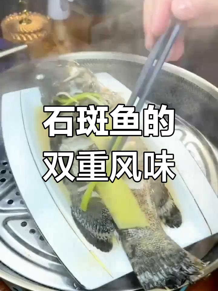 龙胆石斑鱼,清蒸红烧皆美味!