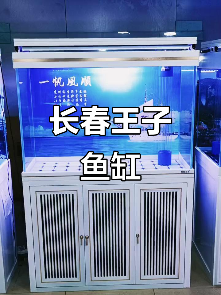 长春王子鱼缸厂：专业生产高品质水族设备