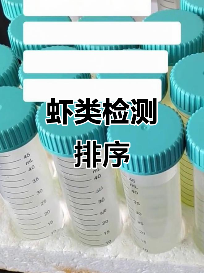 虾类检测顺序:小龙虾优先,河虾最后