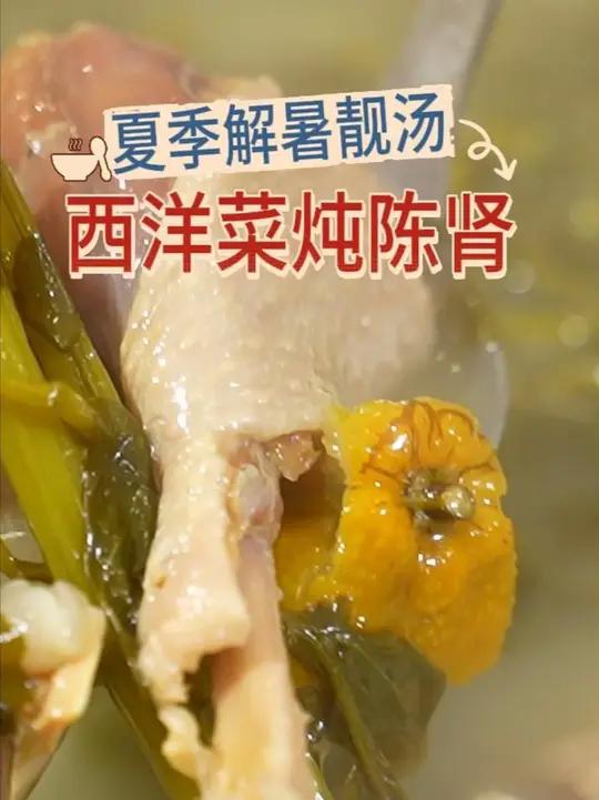 解暑靓汤教程:西洋菜炖陈肾