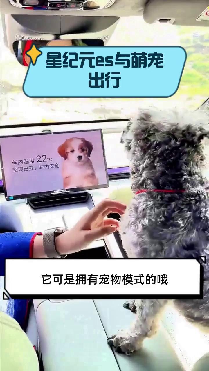 星纪元es与萌宠出行