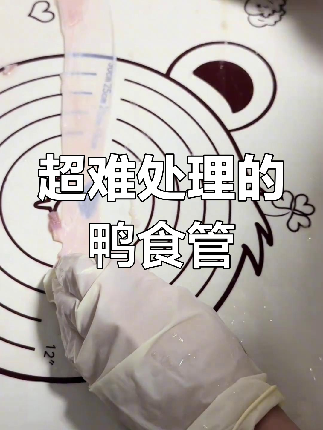 鸭食管处理大揭秘,超难刮油脂和粘液!