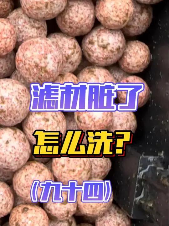 从0开始学养鱼「九十四」滤材多久洗？为什么要洗？什么时候洗