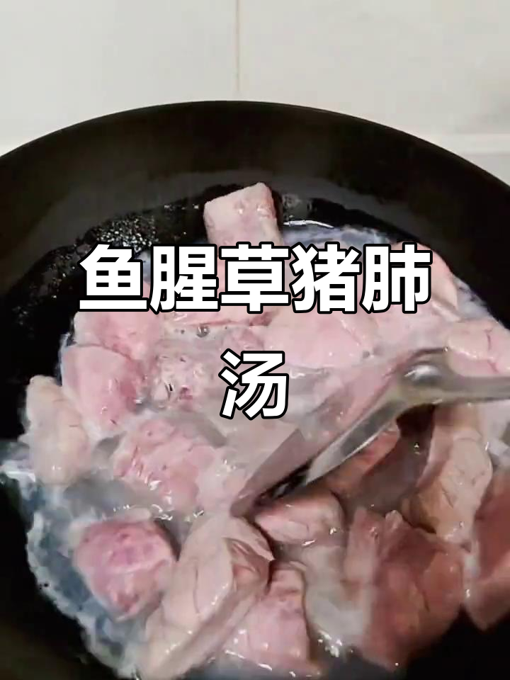 夏季润肺神器:鱼腥草猪肺汤,清凉又美味