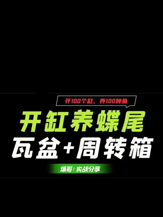 开100个缸,养100种鱼,养蝶尾金鱼,瓦盆+周转箱,教程