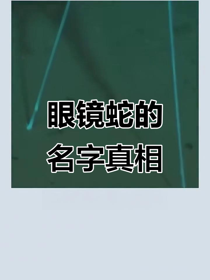 眼镜蛇名字的由来,竟然和深海狗母鱼有关!