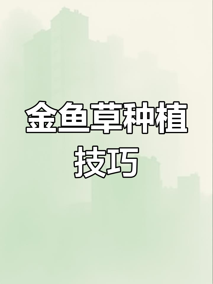 金鱼草种子细小,播种后需保湿通风,避免幼苗徒长