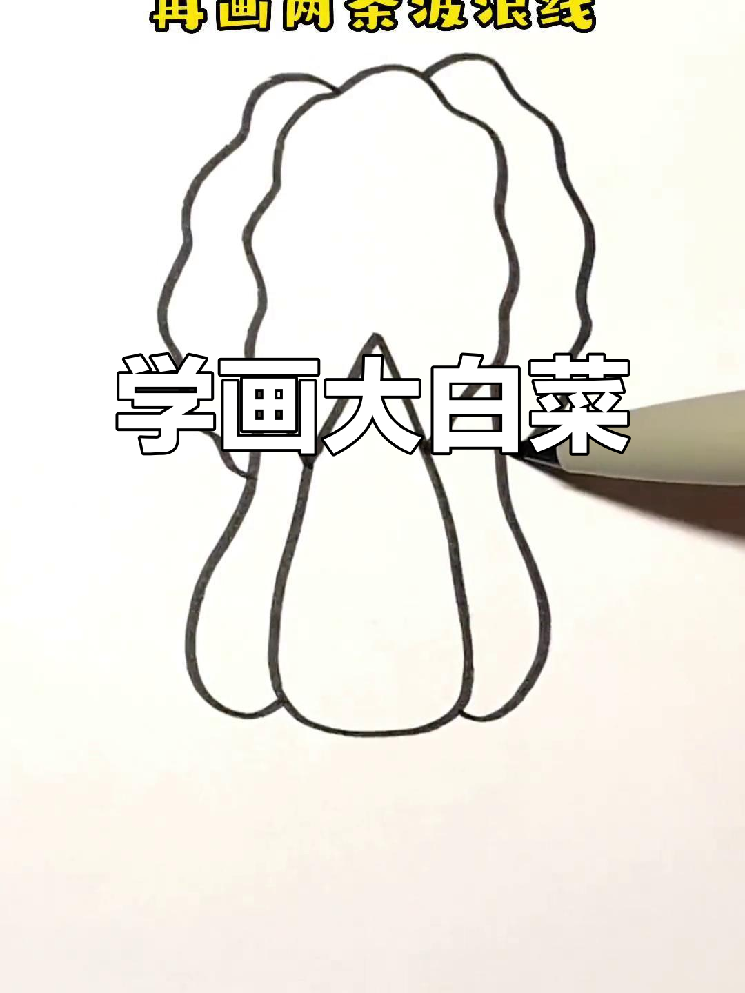 轻松画出可爱白菜,步骤简单又有趣