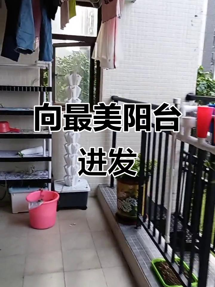 阳台变菜园,打造无土栽培的美丽花园