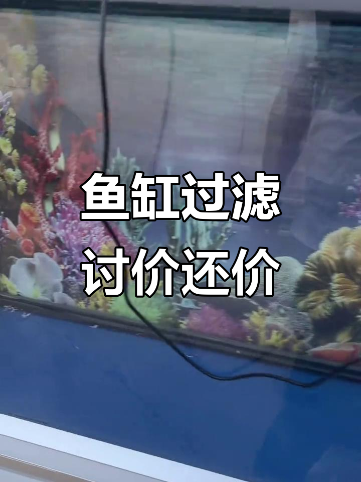 鱼缸过滤设备价格谈判,老板直接回应“二十”