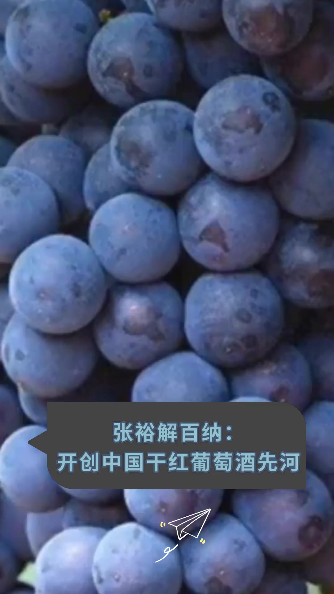 张裕解百纳:开创中国干红葡萄酒先河