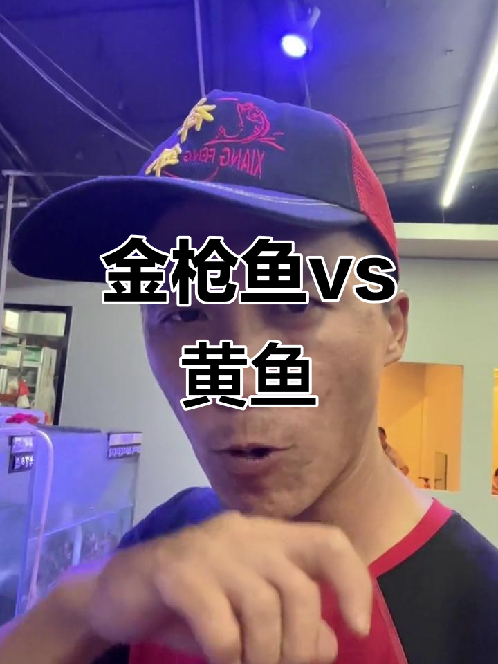 淡水金枪鱼与黄鱼的游泳大比拼,谁更快?