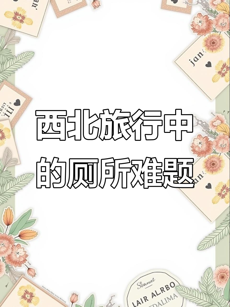 西北旅游的隐秘挑战:旱厕与“草莓塔圣代”大揭秘