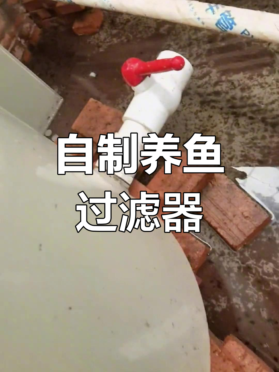 鱼粪收集与过滤系统设计