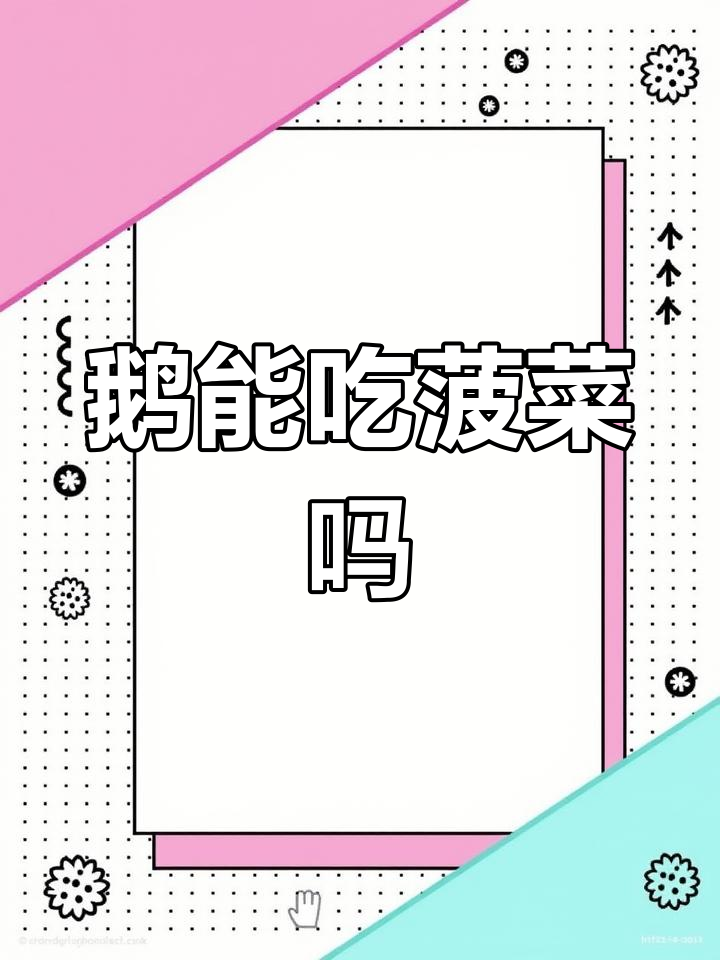 鹅吃菠菜到底行不行?了解原因和风险