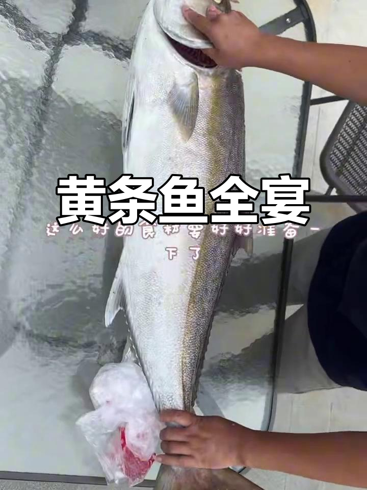 新鲜黄条鱼大餐,一整道美味等你来尝