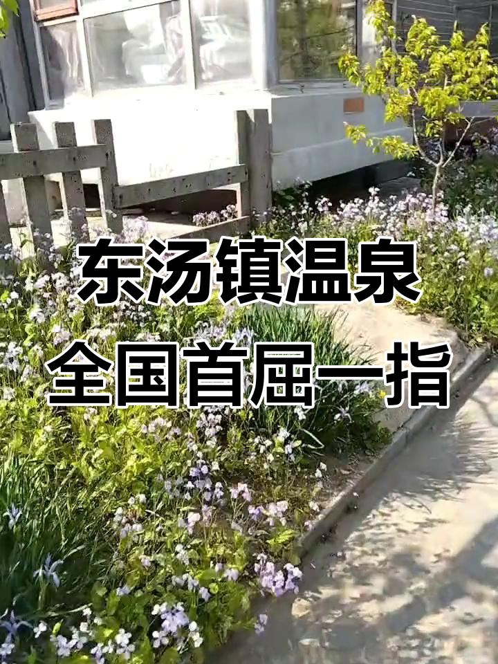 丹东凤城东汤镇温泉,全国排名第一!