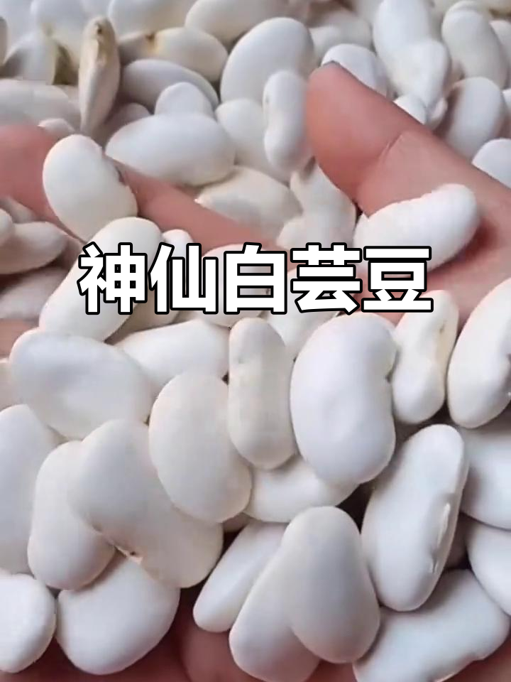 白芸豆:营养丰富,炖汤香甜绵软,老人小孩都爱喝