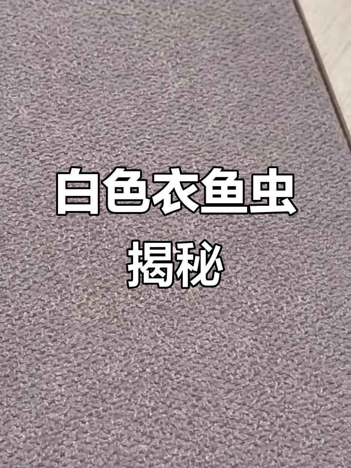 白色衣鱼虫：藏在角落的神秘生物，死亡时尾巴扭动