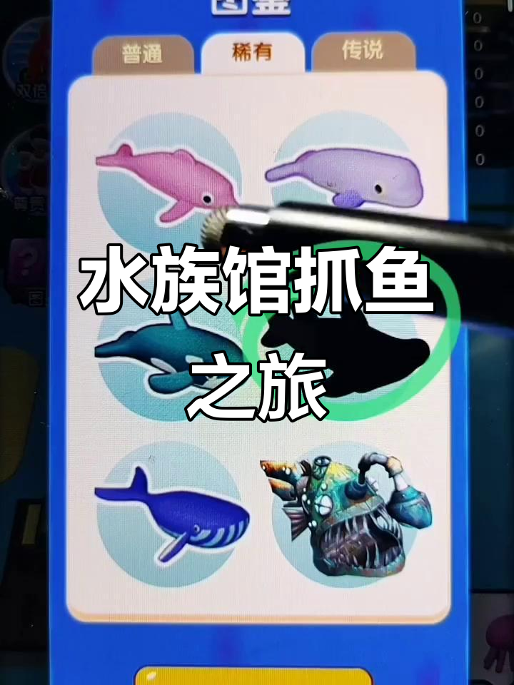 第五个水族馆大探险,锦鲤和稀有鱼都在哪里?