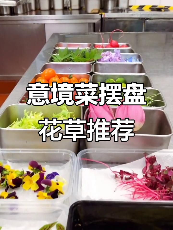 意境菜摆盘必备花草,打造独特视觉盛宴