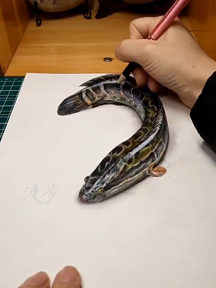 3d立体画黑鱼,立体画让它活了