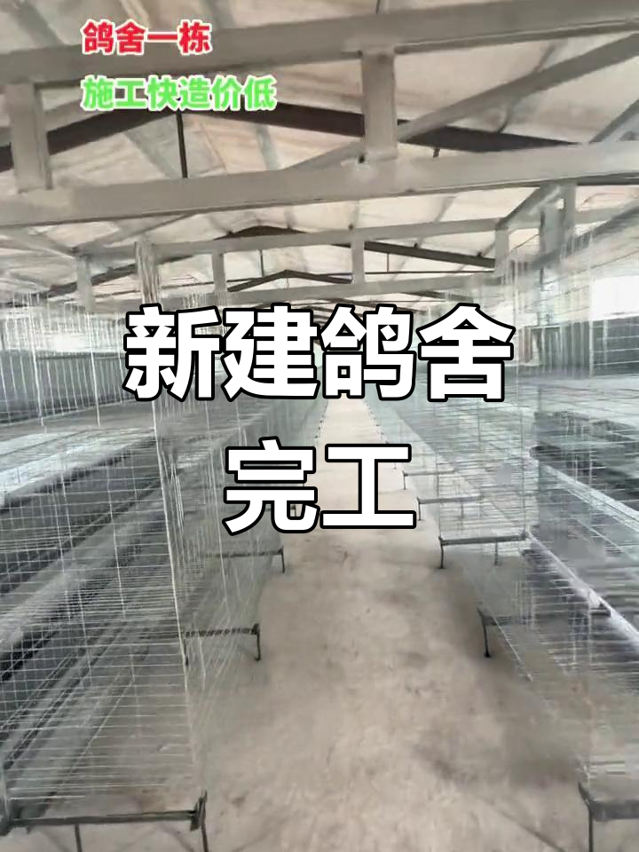 完成建设的鸽子养殖大棚,适用于多种养殖