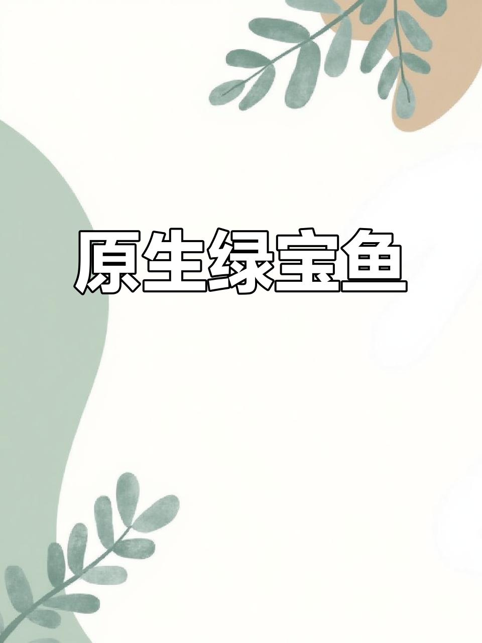 绿宝石奶鱼,原生魅力尽显,美得无法抗拒!