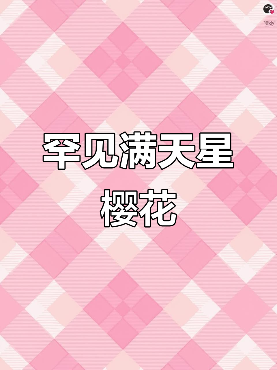 难得一见的满天星樱花,兰寿金鱼与美景相伴