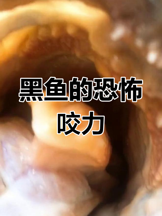 钓到6斤黑鱼,牙齿锋利惊人!
